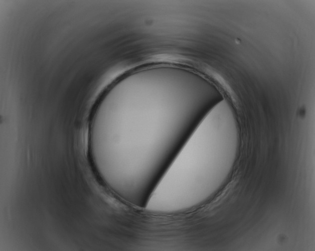 X0000102491323200808081047