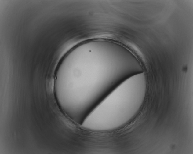 X0000102491324200808081047