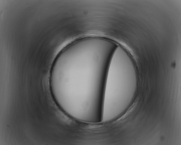 X0000102491325200808081047