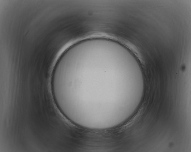 X0000102491326200808081047