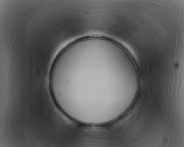 X0000102491327200808081047