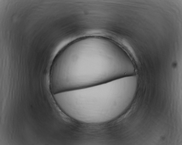 X0000102491328200808081047