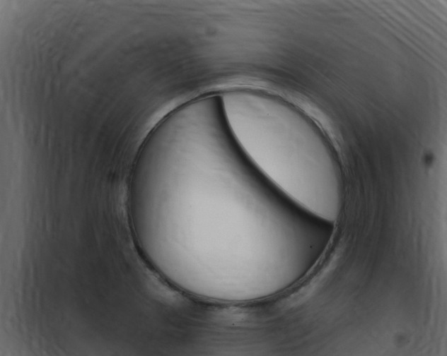 X0000102491329200808081047