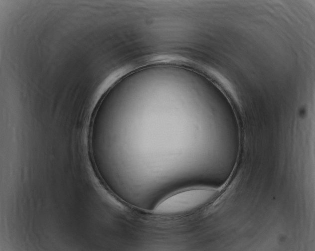 X0000102491330200808081047