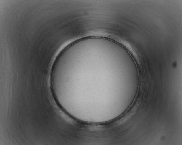 X0000102491331200808081047