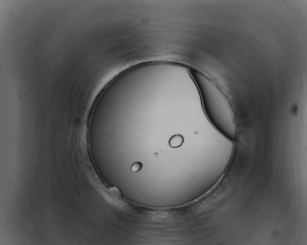 X0000102491332200808081047