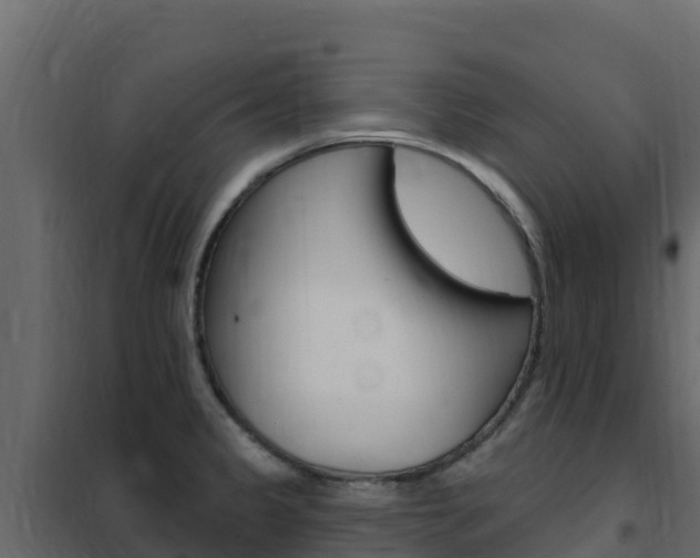 X0000102491333200808081047