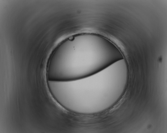 X0000102491334200808081047