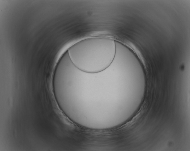 X0000102491336200808081047