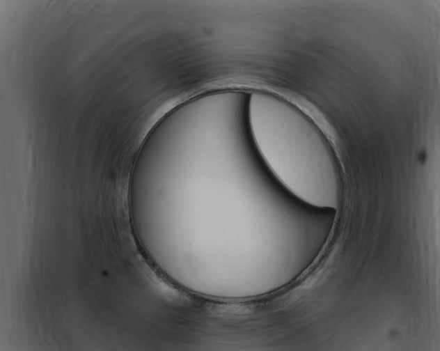 X0000102491337200808081047