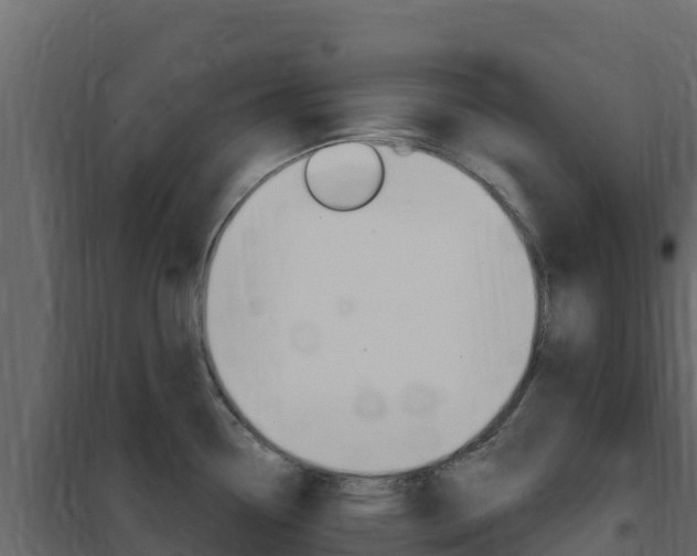 X0000102491338200808081047