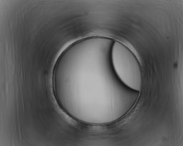 X0000102491339200808081047