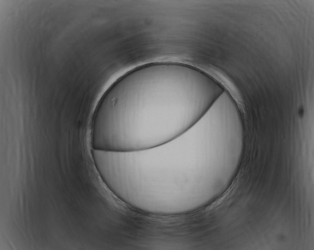 X0000102491340200808081047