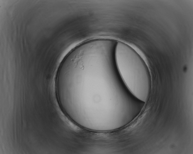 X0000102491341200808081047