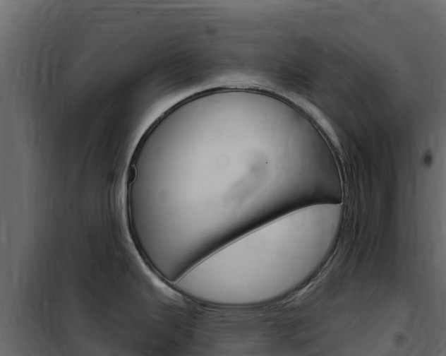 X0000102491343200808081047