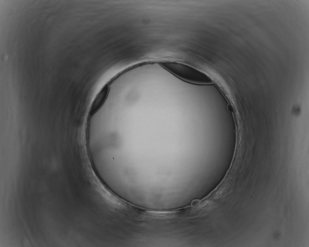 X0000102491344200808081047
