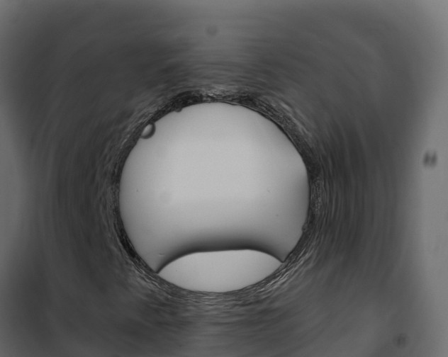 X0000102491345200808081046