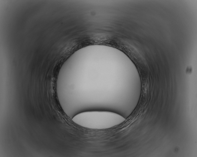 X0000102491346200808081046