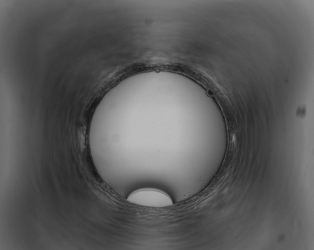 X0000102491348200808081046