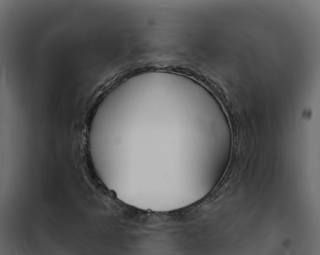 X0000102491349200808081046