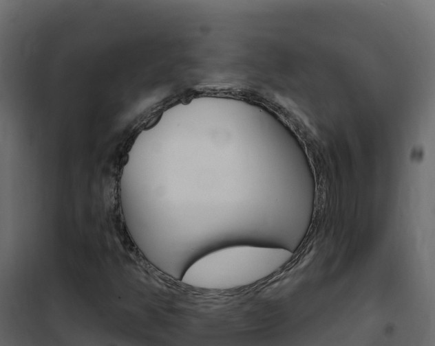 X0000102491350200808081046