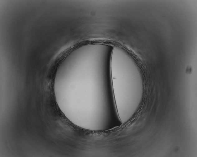 X0000102491351200808081046