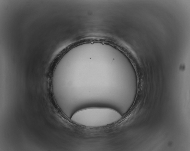 X0000102491352200808081046