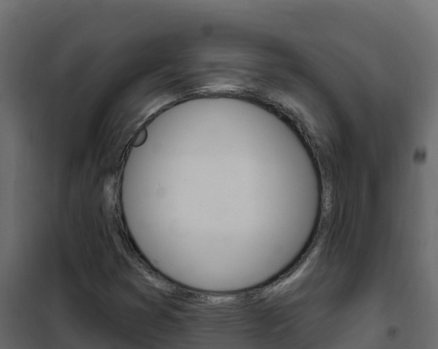 X0000102491353200808081046