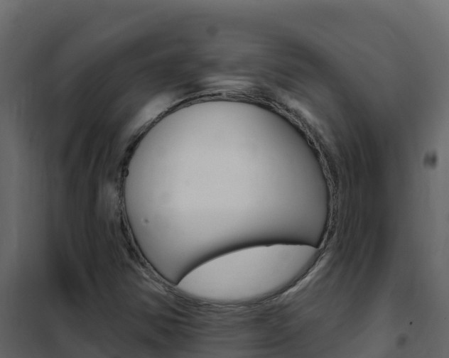 X0000102491354200808081046