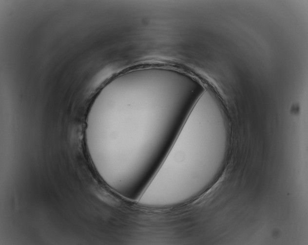 X0000102491355200808081046