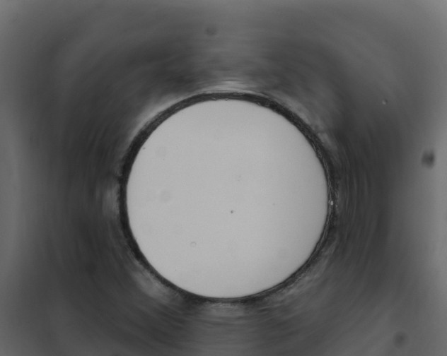 X0000102491356200808081046