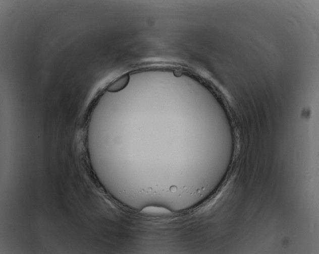 X0000102491357200808081046