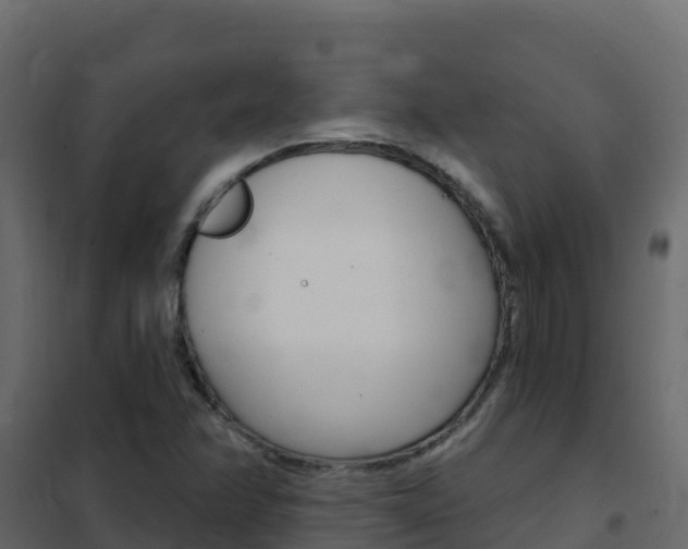X0000102491358200808081046