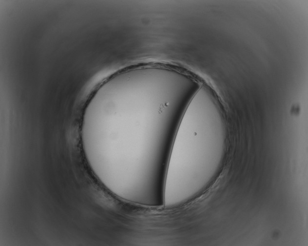X0000102491359200808081046