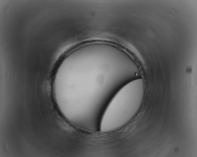 X0000102491360200808081046
