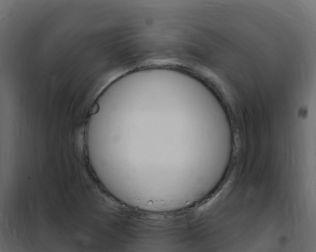 X0000102491361200808081046