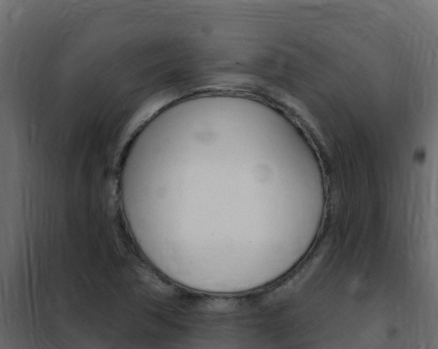X0000102491362200808081046