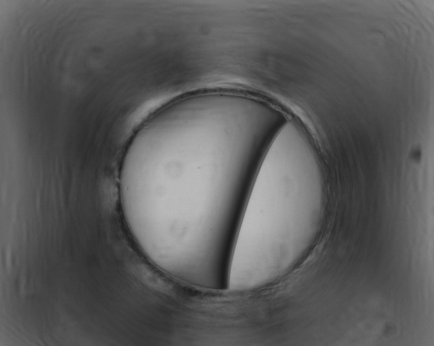 X0000102491363200808081046