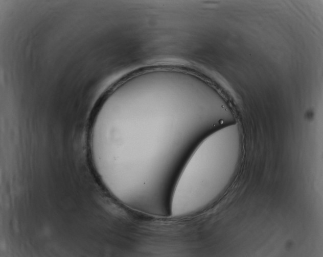 X0000102491364200808081046