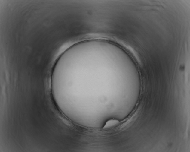 X0000102491365200808081046