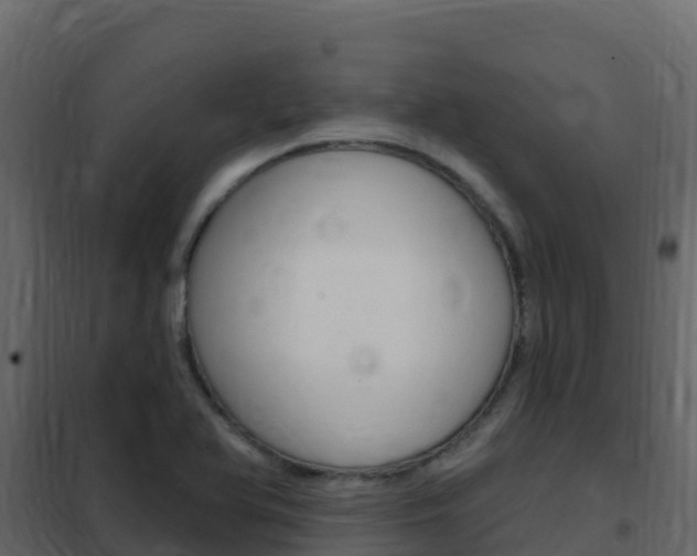 X0000102491366200808081046