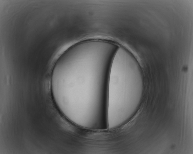 X0000102491367200808081046