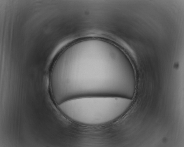 X0000102491368200808081046