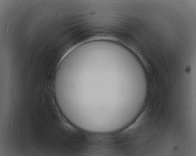 X0000102491369200808081046