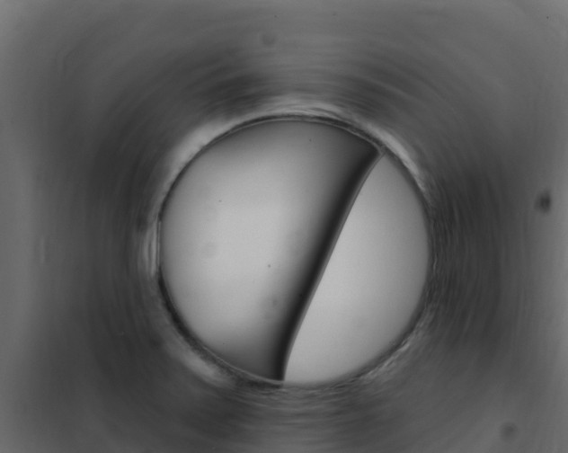 X0000102491371200808081046