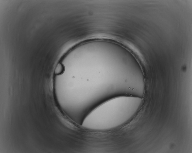 X0000102491372200808081046
