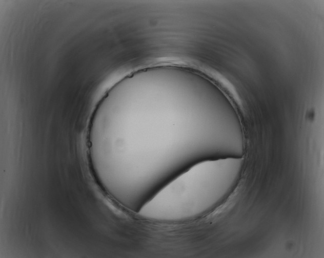X0000102491373200808081046