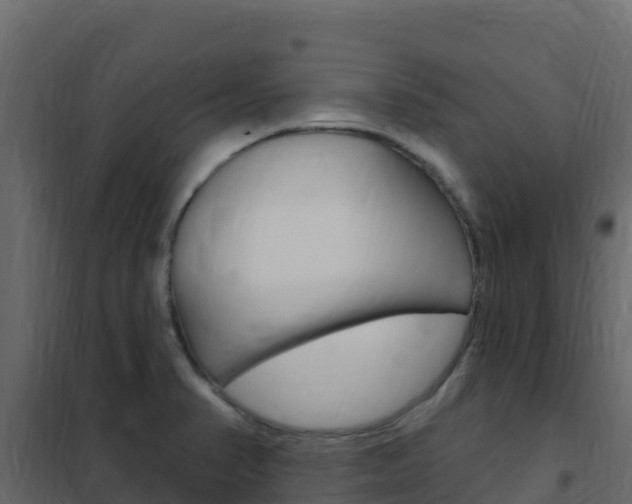 X0000102491374200808081046