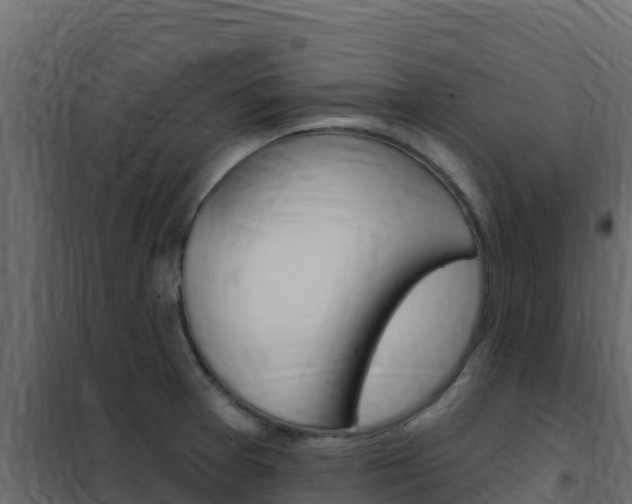 X0000102491377200808081046