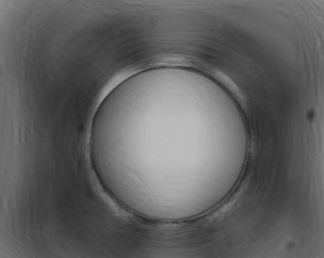 X0000102491378200808081046